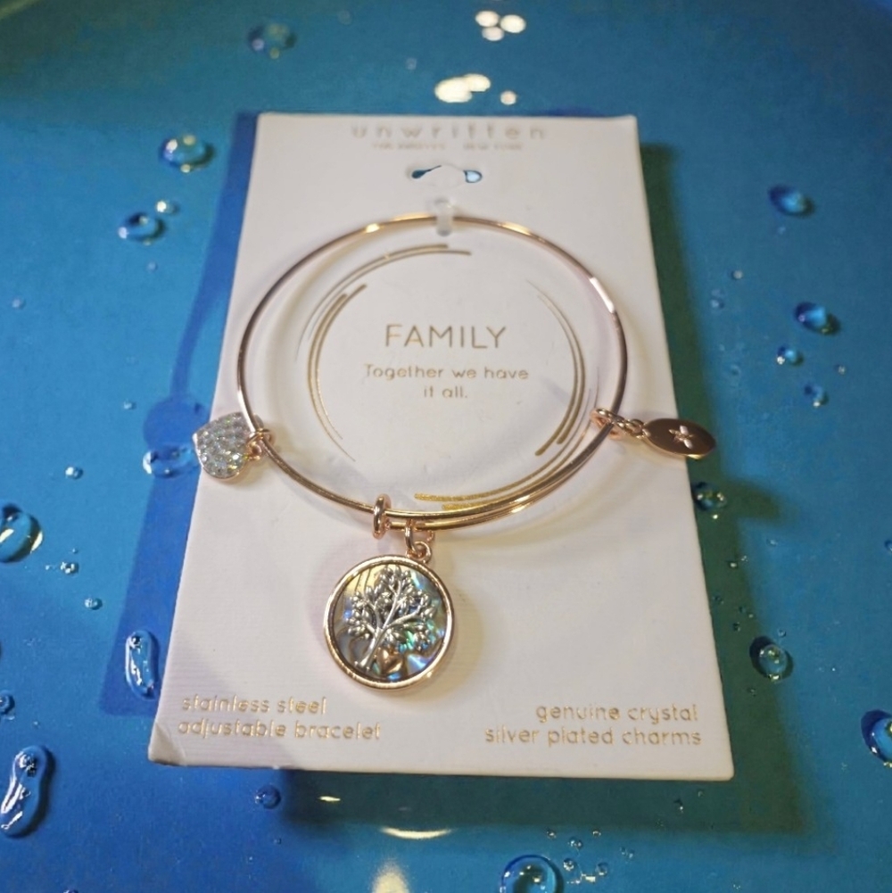 Unwritten Family Charm Bracelet